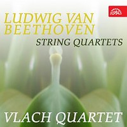Hudba Beethoven: Smyčcové kvartety