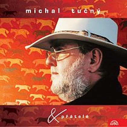 Hudba Michal Tučný & přátelé