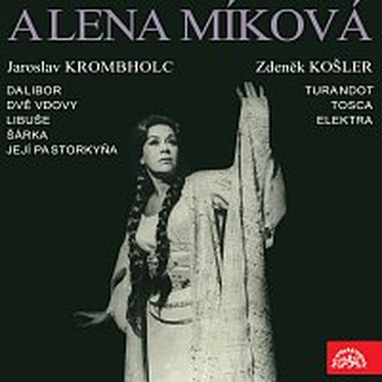 Hudba Alena Míková - portrét sólistky