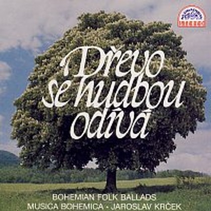 Hudba Dřevo se hudbou odívá