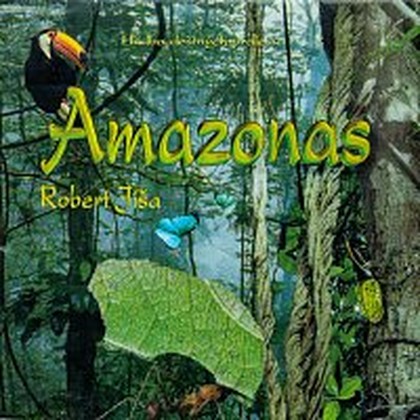 Hudba Amazonas (Hudba deštných pralesů)