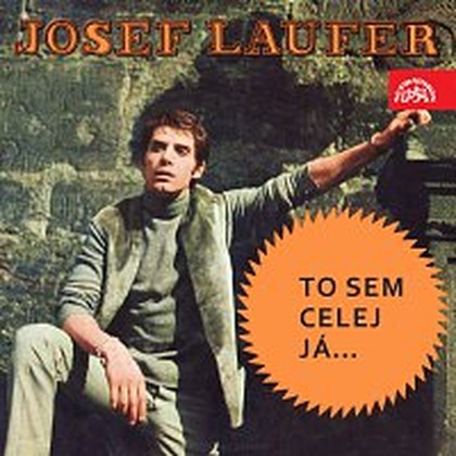 Hudba To sem celej já...